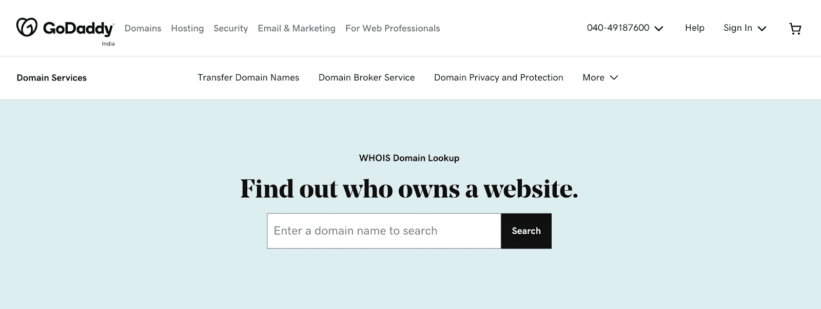 Pencarian Domain