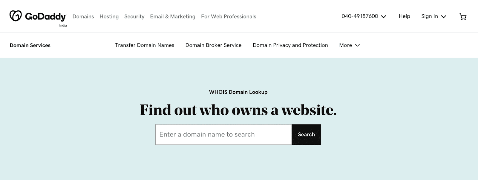 Domain Lookup