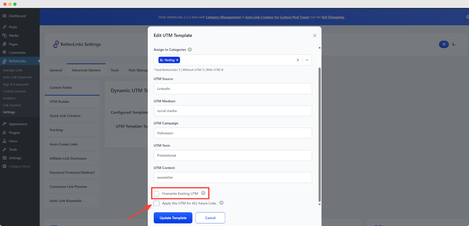 How to Create a Dynamic UTM Template with BetterLinks? 4 Apply this UTM for ALL Future Links