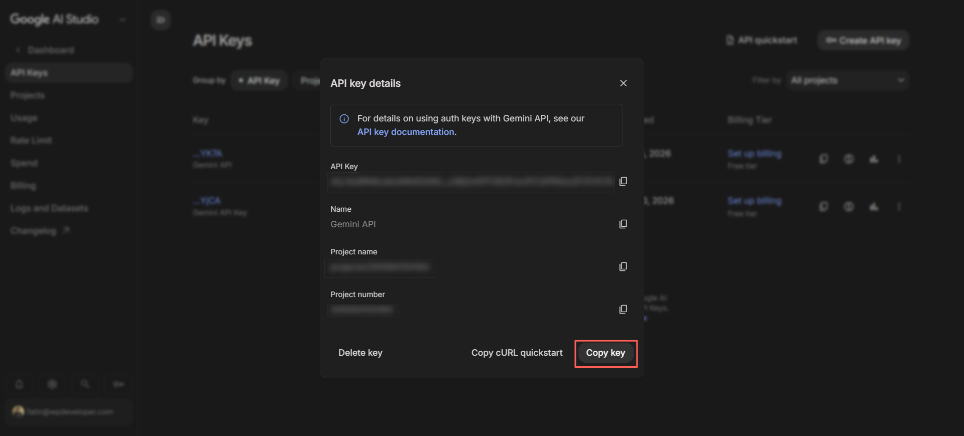 Copy Your API Key